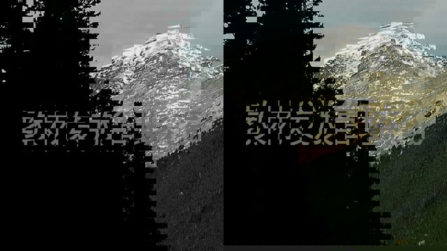 教材发放管理系统
