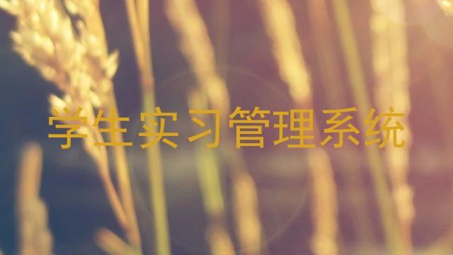 学生实习管理系统