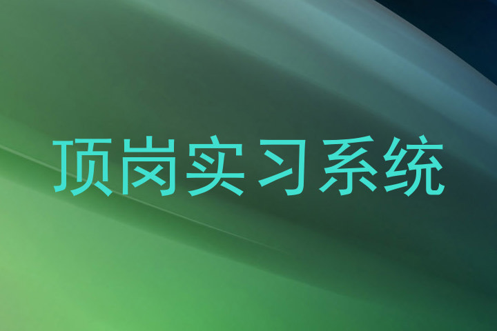 顶岗实习系统
