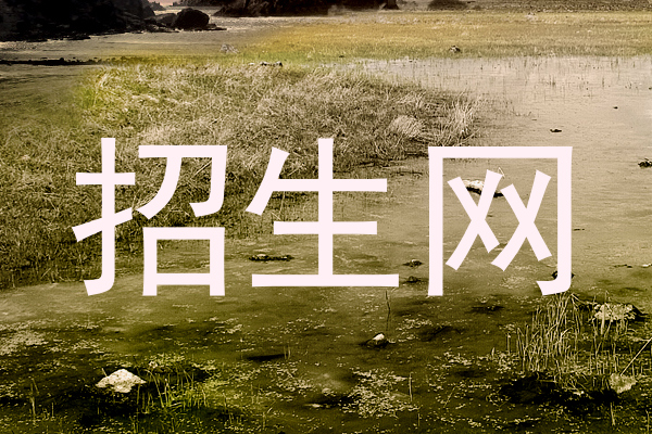招生网