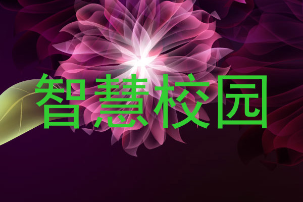智慧校园