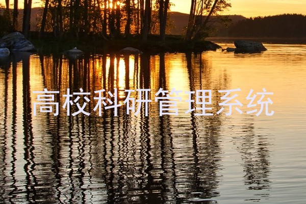 高校科研管理系统
