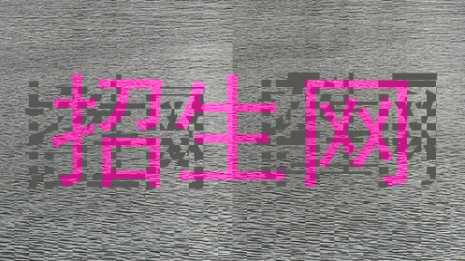 招生网
