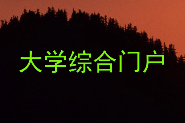 大学综合门户