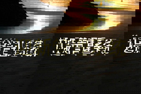 迎新管理系统