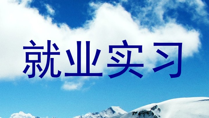 就业实习