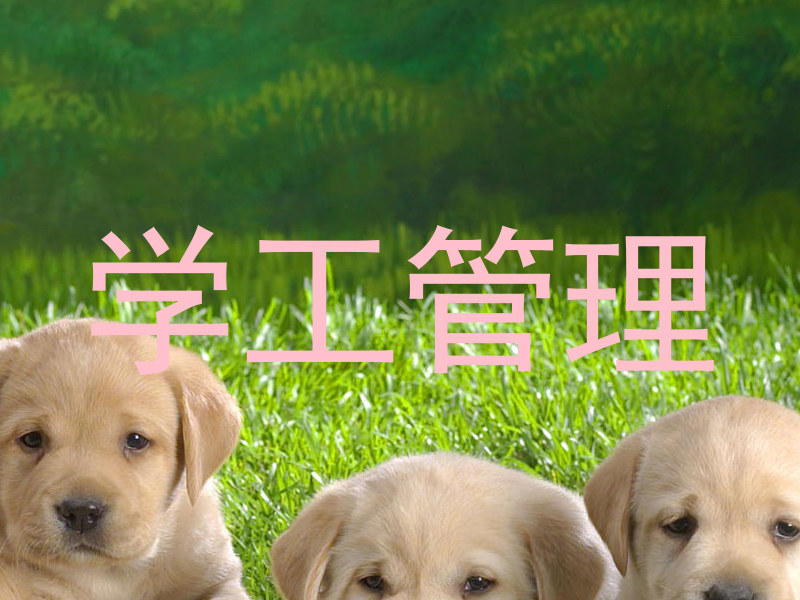 学工管理