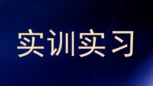 实训实习