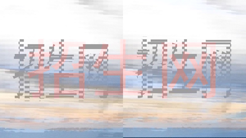 招生网