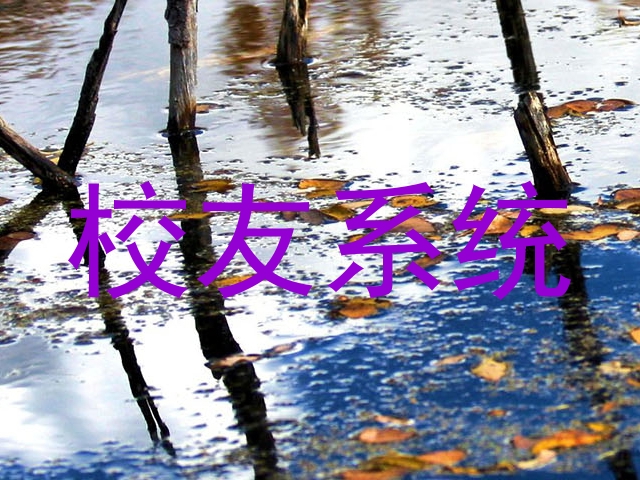 校友系统