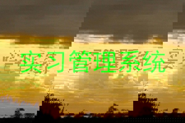 实习管理系统