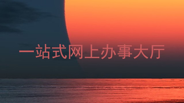 一站式网上办事大厅