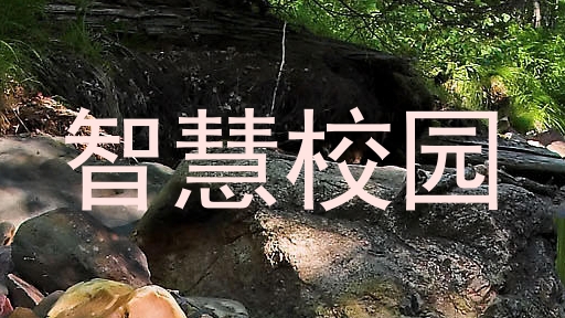 智慧校园