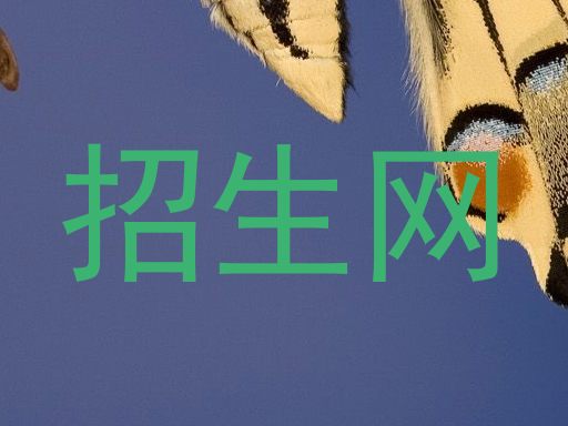 招生网