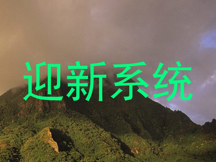 迎新系统