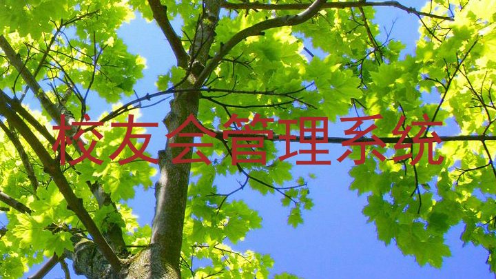 校友会管理系统