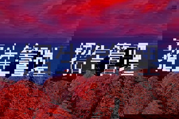 招生管理