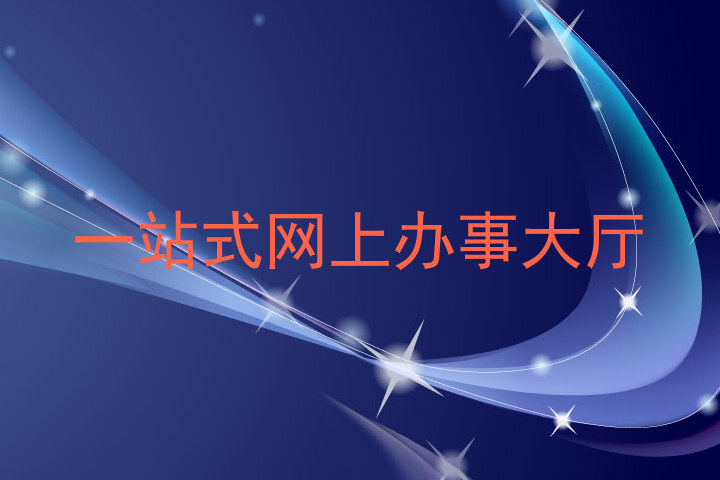 一站式网上办事大厅