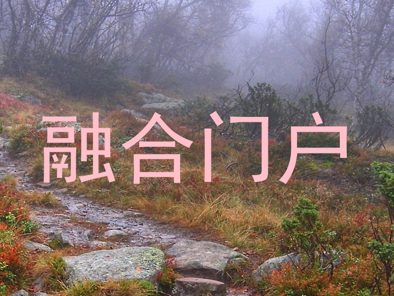 融合门户
