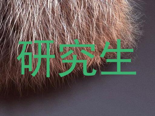 研究生