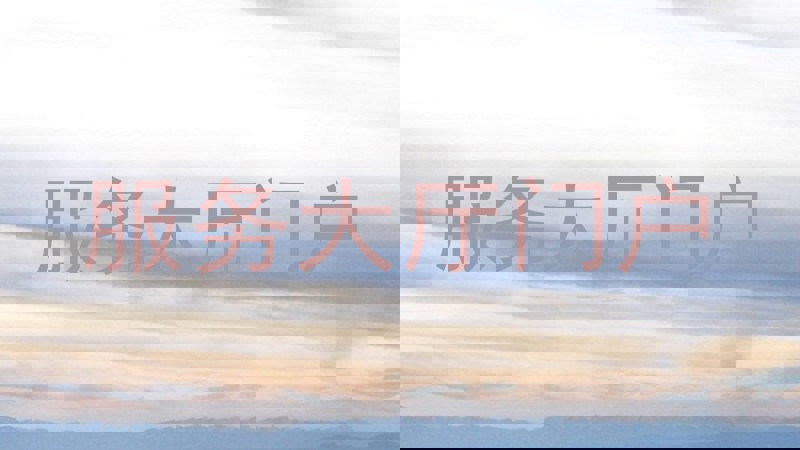 服务大厅门户