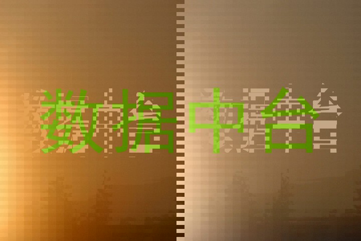 数据中台