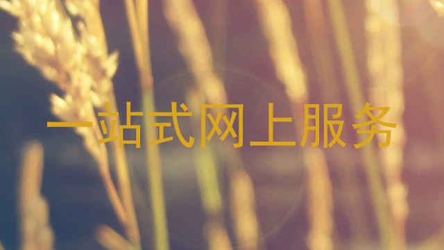 一站式网上服务