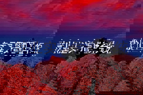 就业实习管理系统