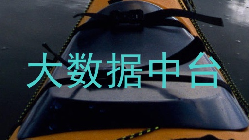 大数据中台