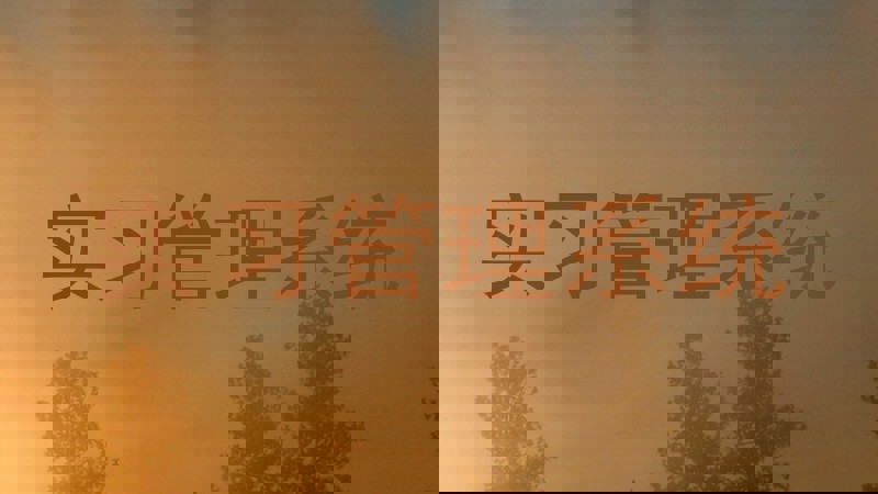 实习管理系统