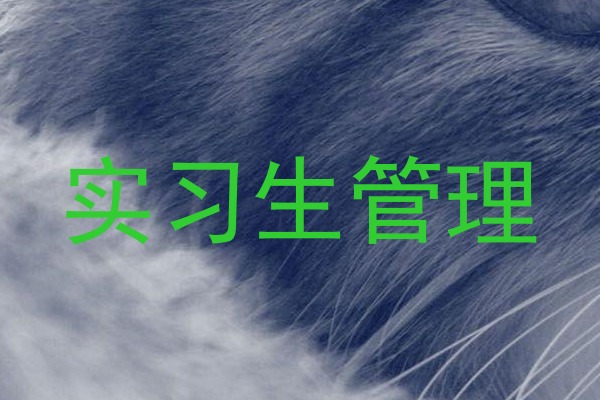 实习生管理
