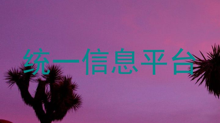 统一信息平台
