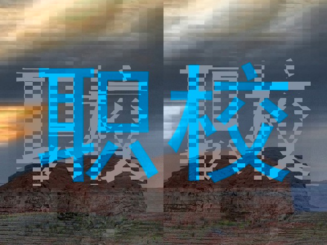 职校
