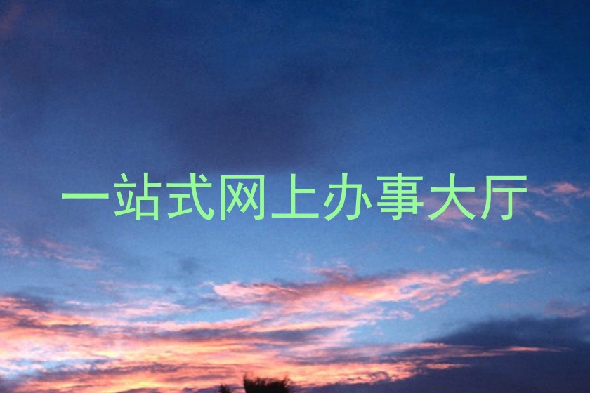 一站式网上办事大厅