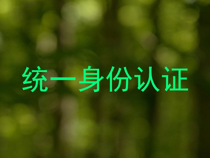 统一身份认证