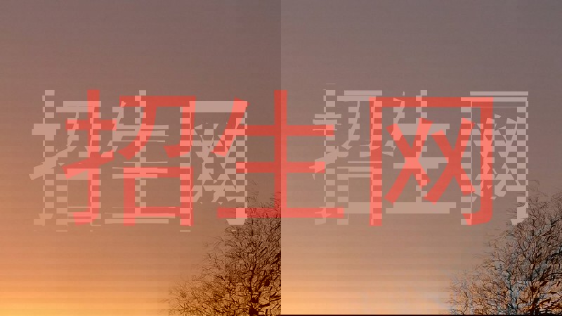 招生网