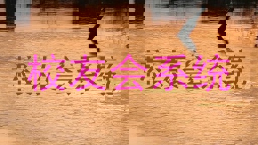 校友会系统