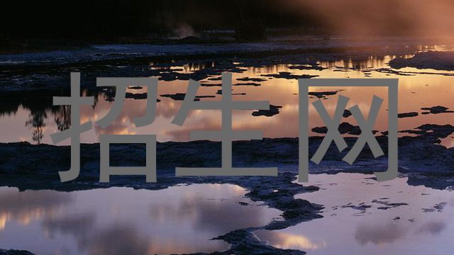 招生网