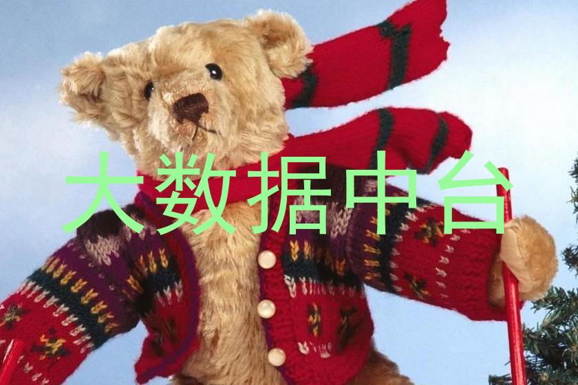 大数据中台