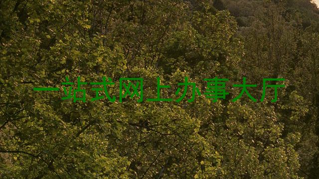 一站式网上办事大厅