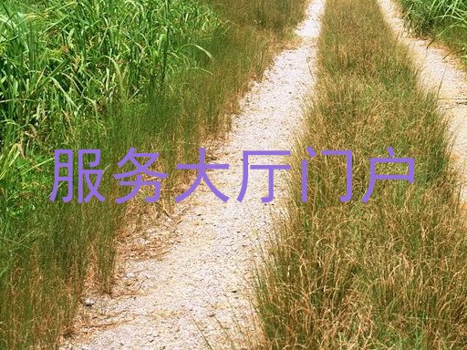 服务大厅门户