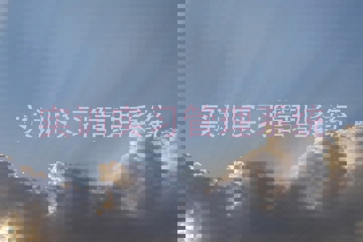实训实习管理系统