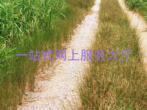 一站式网上服务大厅