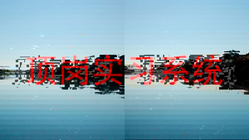 顶岗实习系统