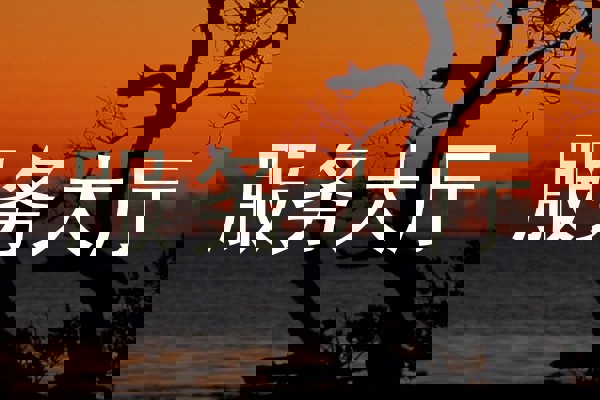 服务大厅
