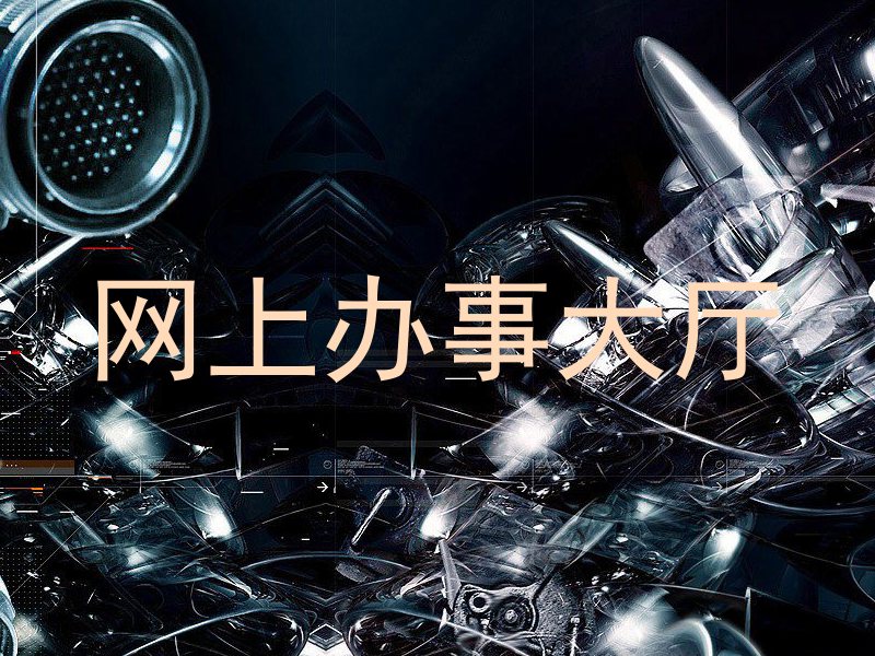 网上办事大厅