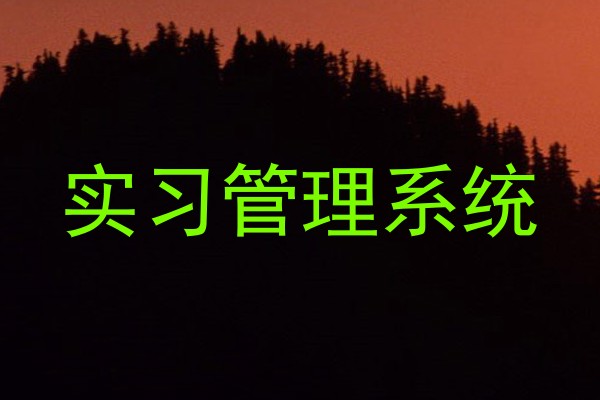 实习管理系统