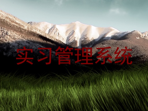 实习管理系统