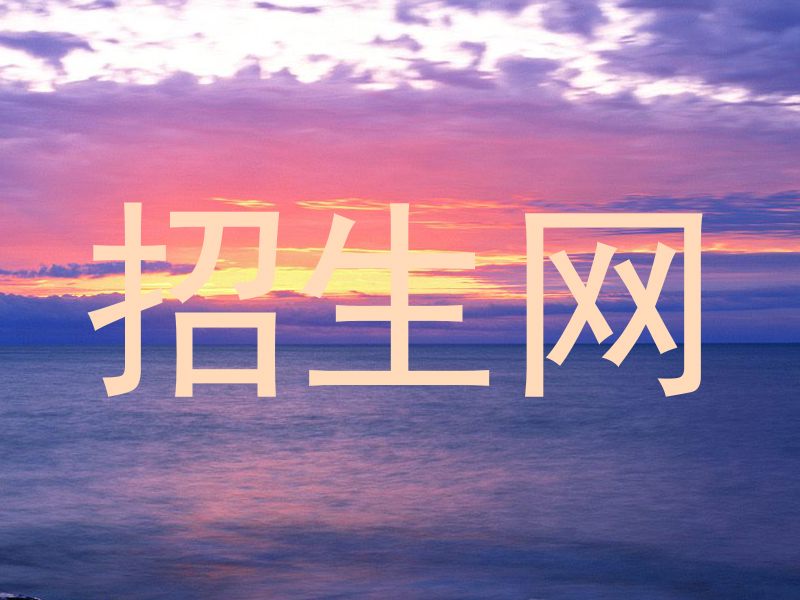招生网