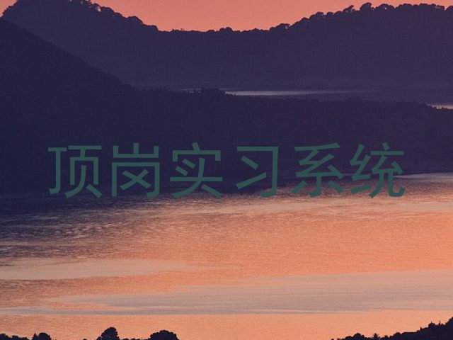 顶岗实习系统